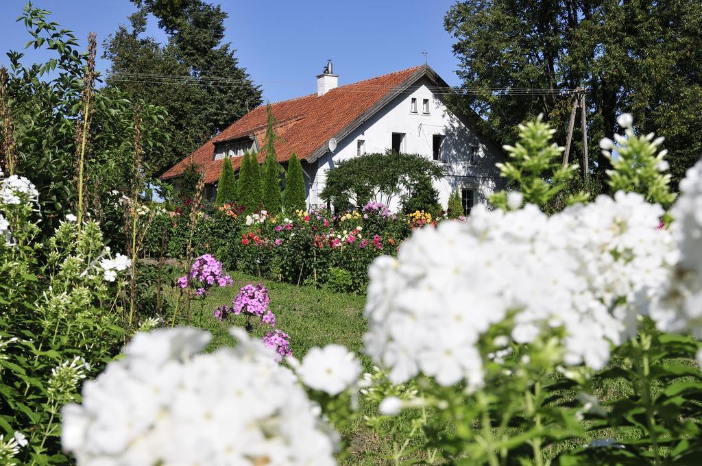 Agroturystyka Orzechowe Wzgorze Orzechowo  Exteriör bild