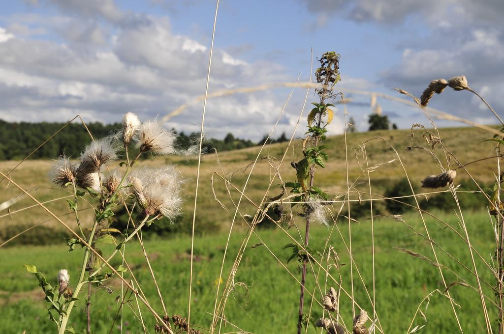 Agroturystyka Orzechowe Wzgorze Orzechowo  Exteriör bild