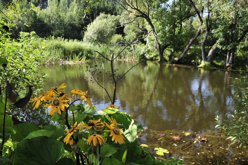 Agroturystyka Orzechowe Wzgorze Orzechowo  Exteriör bild